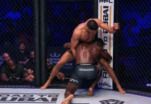 Ex-UFC Champ’s Brother Mocked After Loss Due to Poor Fight IQ