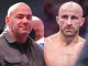UFC London Headliner Reveals Dana White’s Scrapped Title Plans Before Volkanovski Ruined It