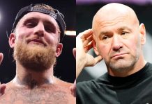 Jake Paul Targets Elite Prospect Who Rejected Dana White’s UFC Offer for Rousey vs Carano Card