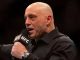 “They Keep Getting Better”: Joe Rogan Reacts to Podcast Guest’s UFC Game Addiction