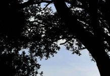 Golf’s Slow Play Crisis Gets Reality Check From Veteran Broadcaster