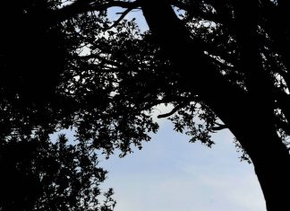 Golf’s Slow Play Crisis Gets Reality Check From Veteran Broadcaster