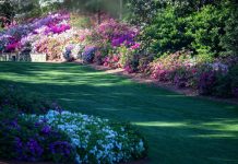 Masters Wins Over Fans With Surprising Documentary Tease Days Before Augusta Showdown