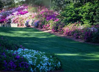 Masters Wins Over Fans With Surprising Documentary Tease Days Before Augusta Showdown