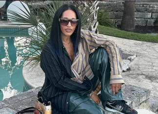 Who Is Amar’e Stoudemire’s Ex-Wife Alexis Welch? Marriage, Kids & Relationship Timeline