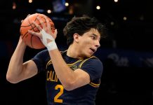 What Is Andrej Stojakovic’s Ethnicity and Nationality? Exploring Illinois Star’s Background and Religion