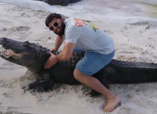 Arman Tsarukyan Tries to Put a Huge Alligator in a Rear-Naked Choke