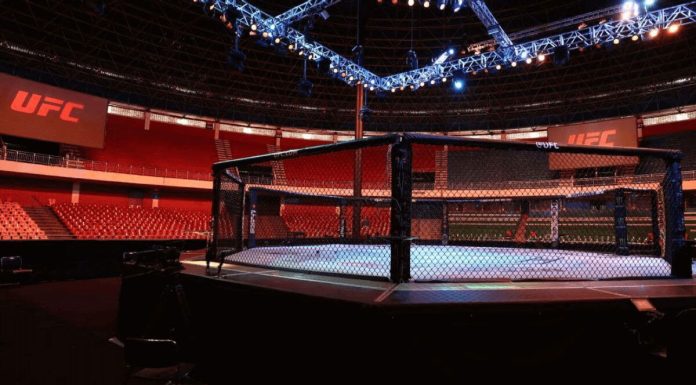 UFC Cuts Three Brazilian Fighters, Signs Two New Prospects After Seattle Card