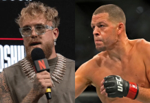 Jake Paul Verbally Agrees to MMA Fight With Nate Diaz on One Condition