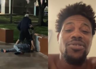 Kevin Holland Turns Commentator as Street Fight Breaks Out in Miami Park