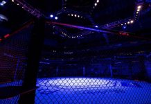 MMA Coach Sentenced to Jail After $66,000 Identity Fraud Scheme Unravels