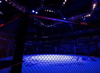 MMA Coach Sentenced to Jail After $66,000 Identity Fraud Scheme Unravels