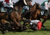 The Grand National battles for its future after 17 horse deaths this century