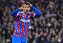 Crystal Palace now know why Spurs were desperate to offload Brennan Johnson