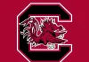 Who Is the South Carolina Gamecocks Mascot? Meaning, History & Name Origin Explained