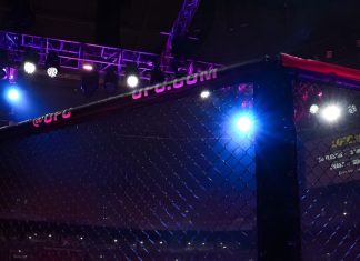 UFC Legend Breaks Silence After Recent Arrest on Harassment Charge