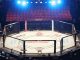 UFC Blunder Exposed as Fan Informs Fighter of Roster Cut