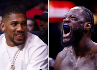 It’s a disgrace we’ve had to wait this long for Joshua vs Wilder