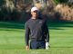 Tiger Woods’s Absence Looms Over PGA Tour Committee’s Ongoing Decisions