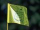 Augusta Makes No Exceptions as Major Winner Faces Strict Action for Rule Violation