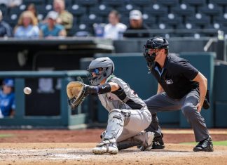 NPB Takes Urgent Measures After Critical Injury Lands Umpire in ICU