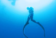 Deaths of 5 Divers in Maldives Spark Debate on Diving Safety
