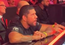Alex Pereira’s Cage-Side Coaching of Sister Aline Sends Fans Into Frenzy During Rousey-Carano
