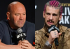 Sean O’Malley Disapproves Dana White & Co’s Most Recent Decision for UFC White House