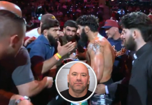 Dana White Offers Jake Paul’s MVP Fighter UFC Shot After Arman Tsarukyan Altercation at Rousey-Carano
