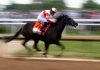 Kentucky Derby Horse Faces Knee Fracture Surgery to End Horse Racing Season