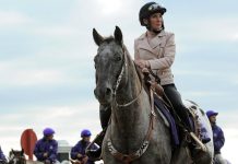Legendary NBC Reporter Retires in Heartwarming End to 39-Year-Long Horse Racing Career