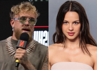 Jake Paul Responds After Olivia Rodrigo Mocks His Boxing Career in Viral SNL Diss