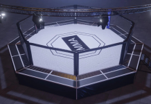 MMA Fighter Chased and Fatally Shot by Armed Assailants in Broad Daylight