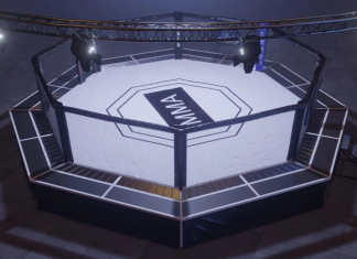 MMA Fighter Chased and Fatally Shot by Armed Assailants in Broad Daylight