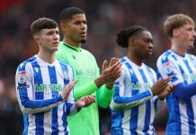 ‘A fighting chance’: What Sheffield Wednesday’s new owners plan for next season