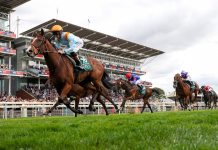 Jockey Banned After Disturbing Whip Incident Involving Hitting Horse