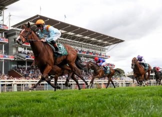 Jockey Banned After Disturbing Whip Incident Involving Hitting Horse