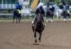 Cherie DeVaux Shuts Down Preakness Debate With Real Reason Behind Golden Tempo Not Chasing Triple Crown
