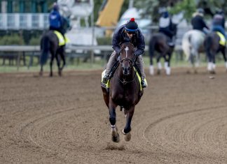 Cherie DeVaux Shuts Down Preakness Debate With Real Reason Behind Golden Tempo Not Chasing Triple Crown