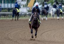 Kentucky Derby Winner’s Defection Intensifies Pressure on Preakness and Triple Crown Future