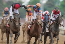 US Horse Safety Suspends and Fines Kentucky Derby Rider Over Hitting Violations
