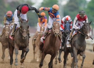 US Horse Safety Suspends and Fines Kentucky Derby Rider Over Hitting Violations